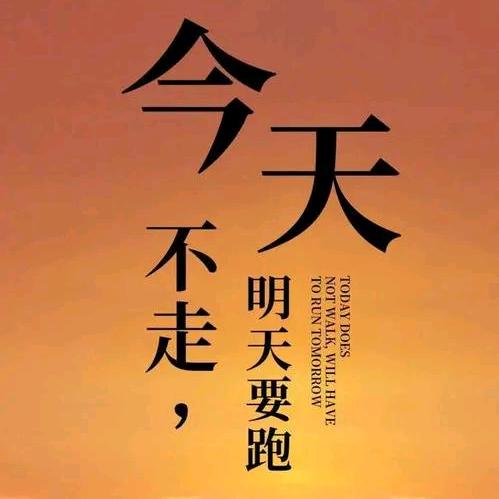 清风NO.1