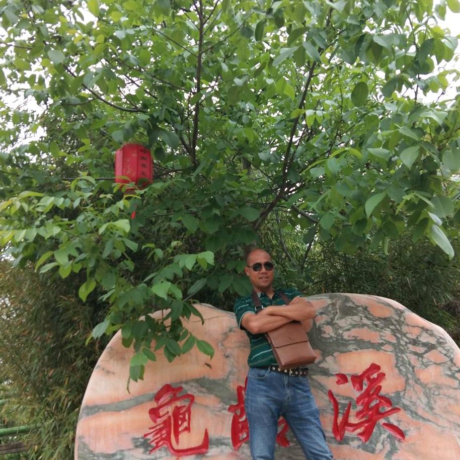 马亚军花灯，乐队