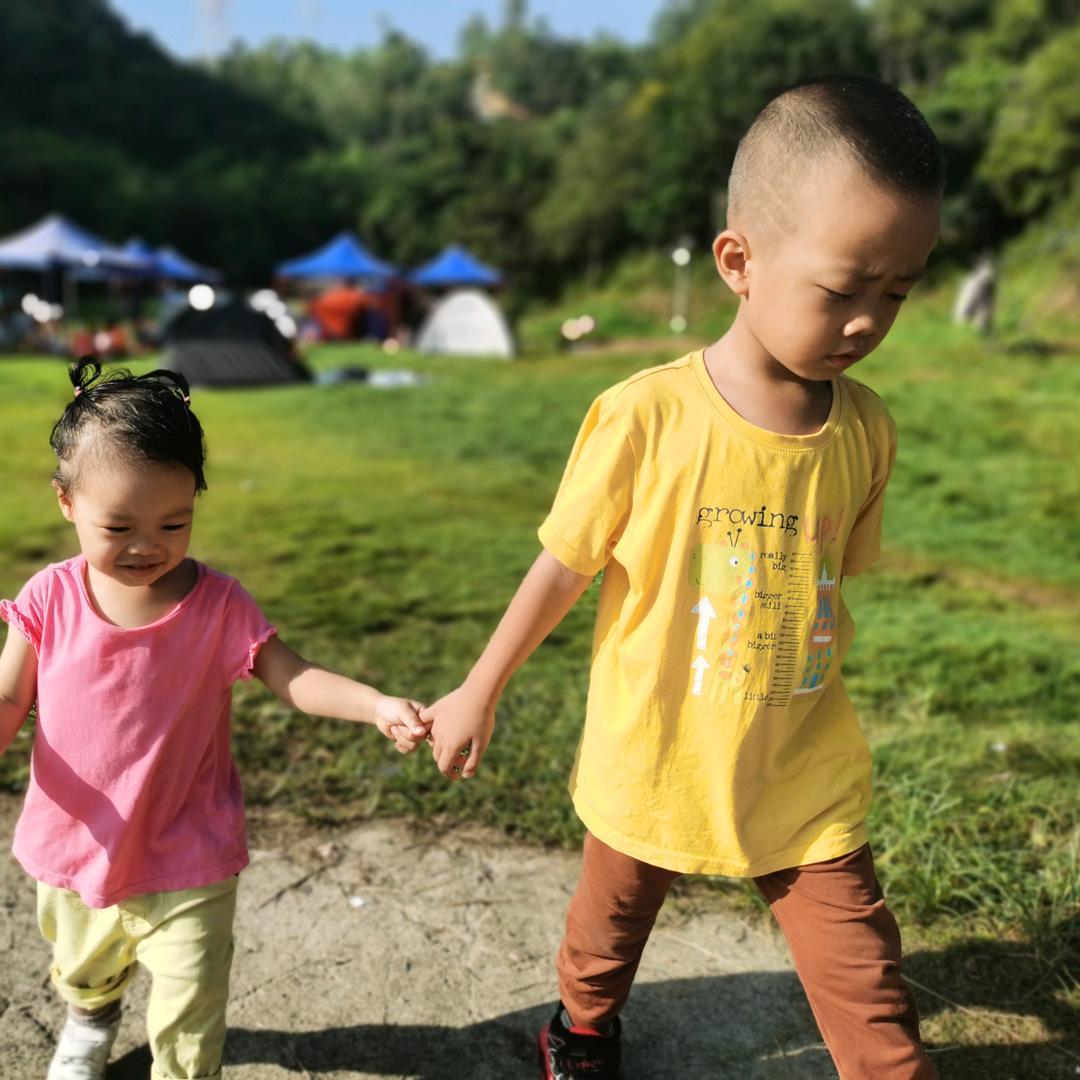 小陶