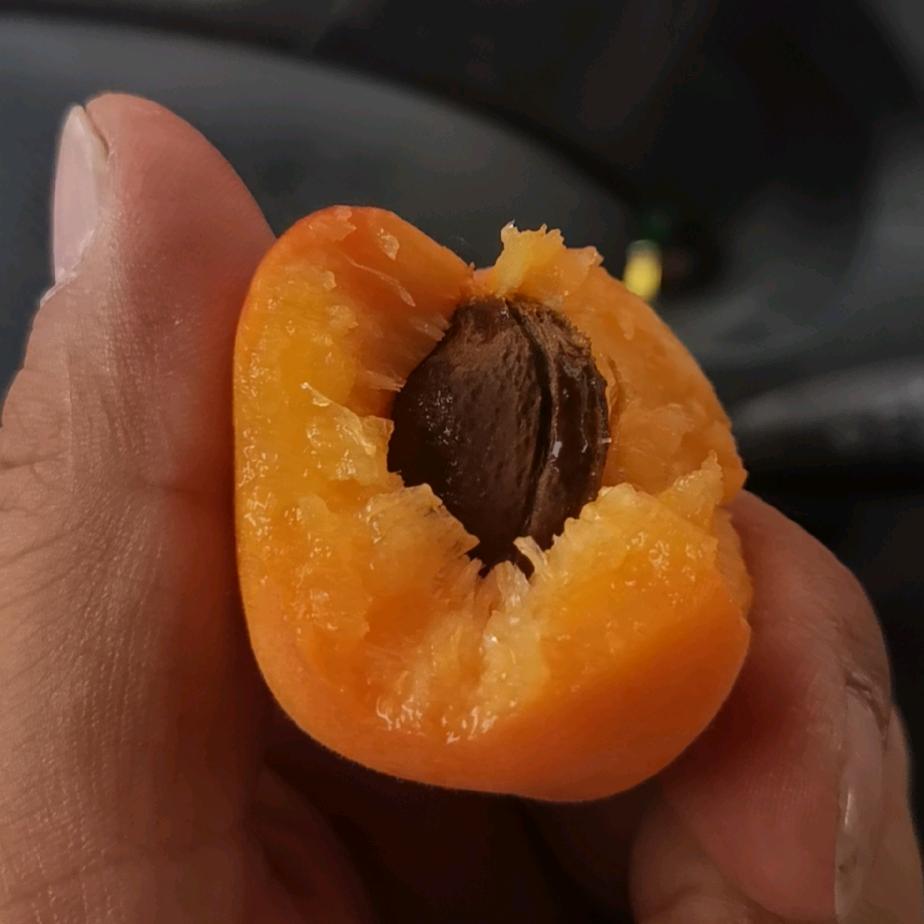 无奈的思绪
