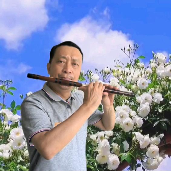 陈枫笛音