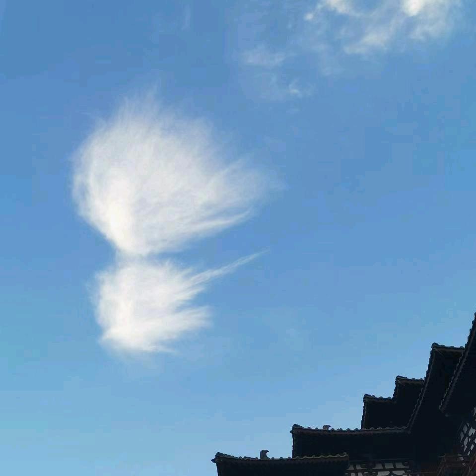 骑老太太上高速