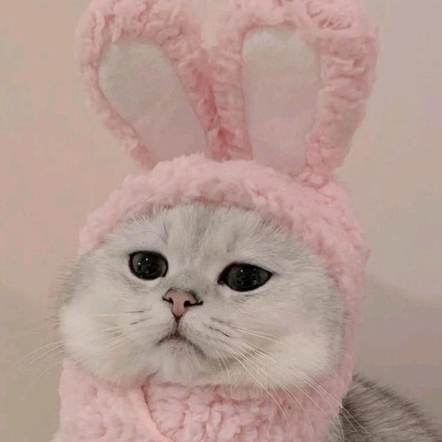 豆蔻穿戴甲小铺