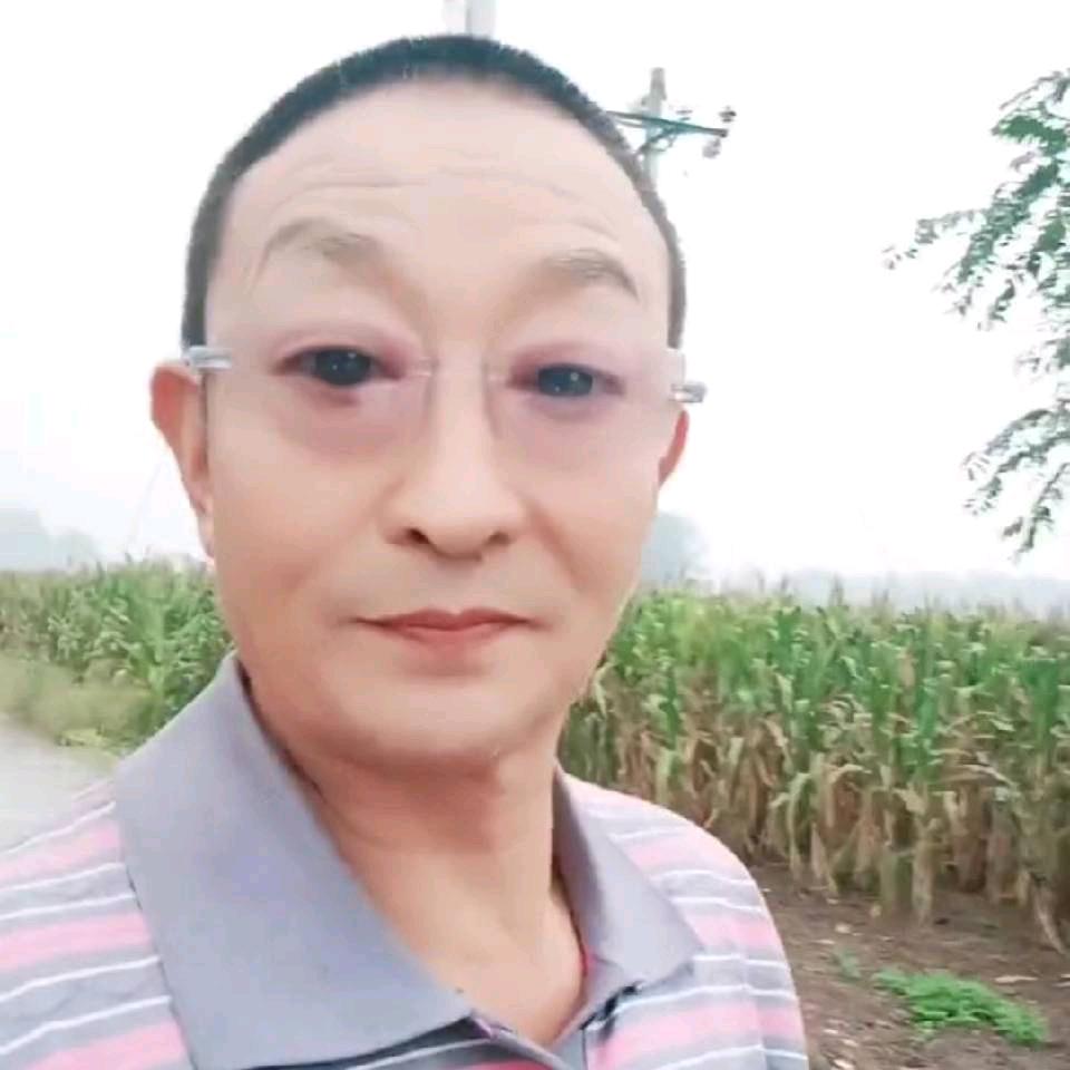 蓝天飞红
