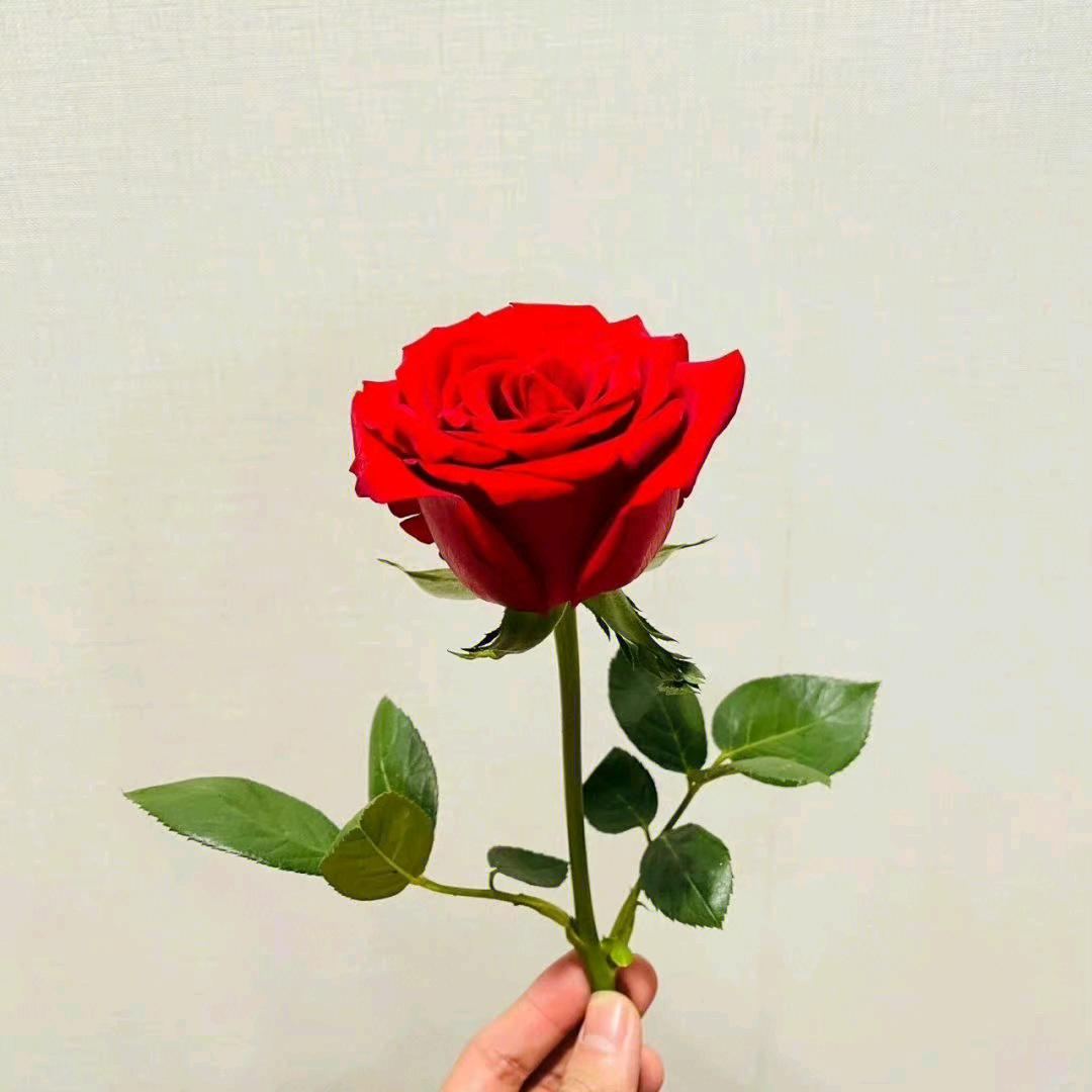 @ 婷婷