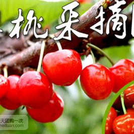 潮之声