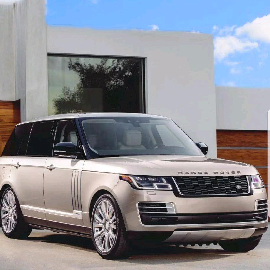 大王叫我来巡山🌝᭄