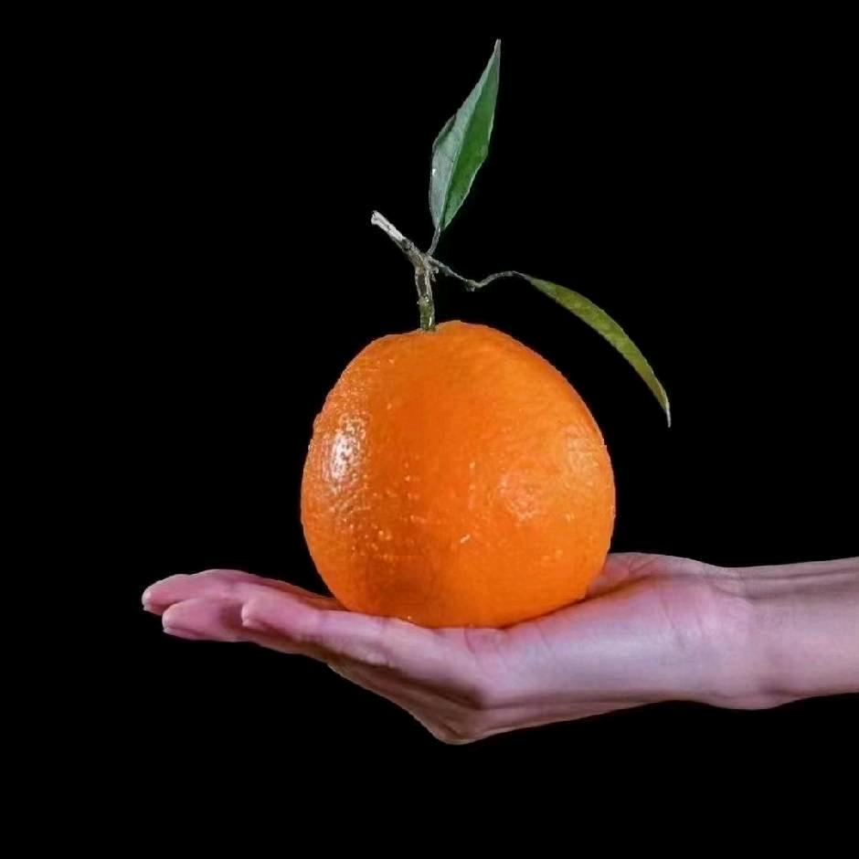 雷波脐橙 村干部助农工作室