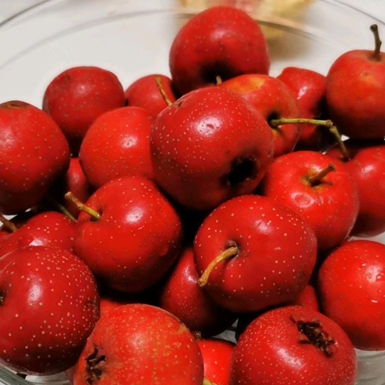 酸酸甜甜小小俊俊儿