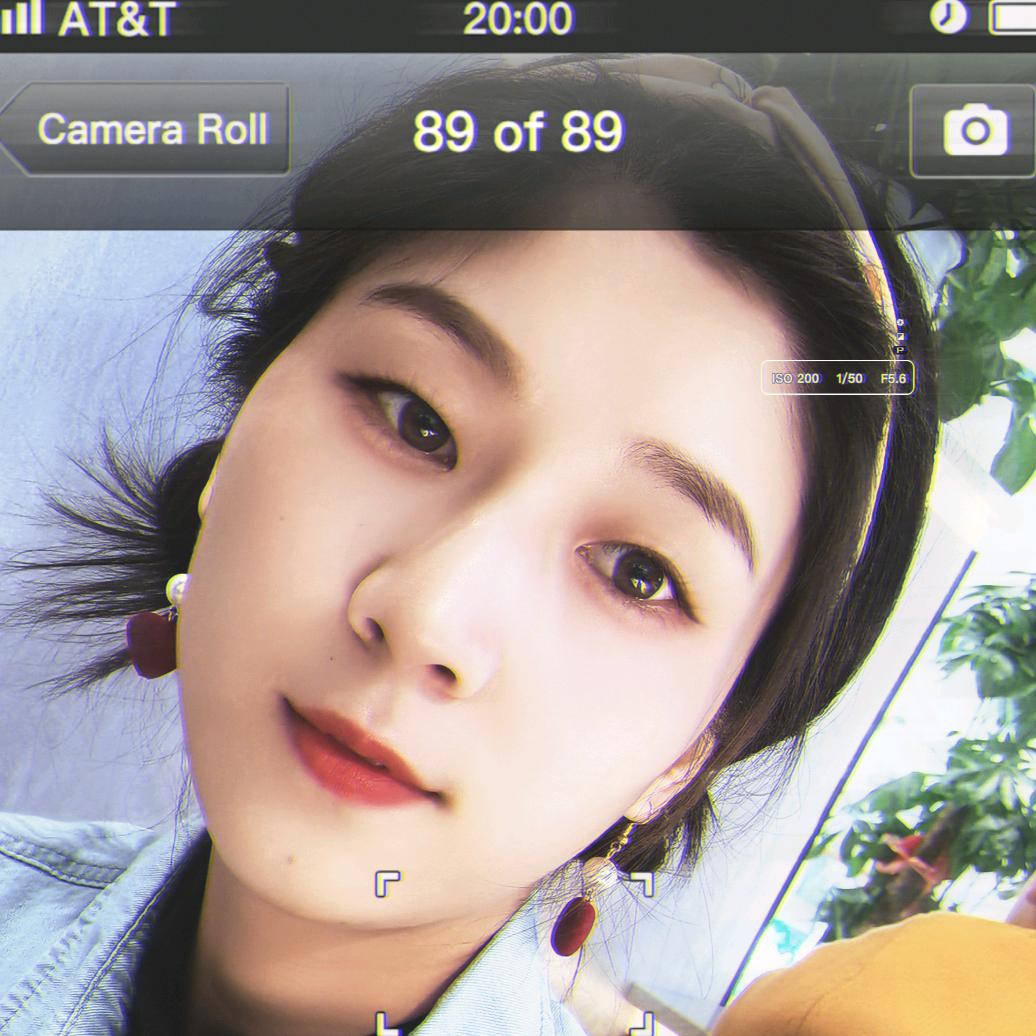 猫把名字叼走了