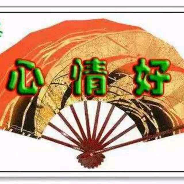 何琴