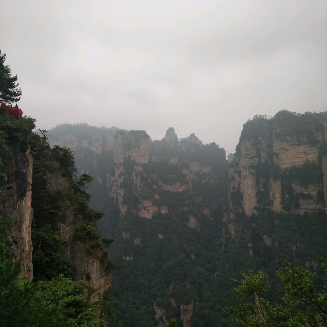 火狼