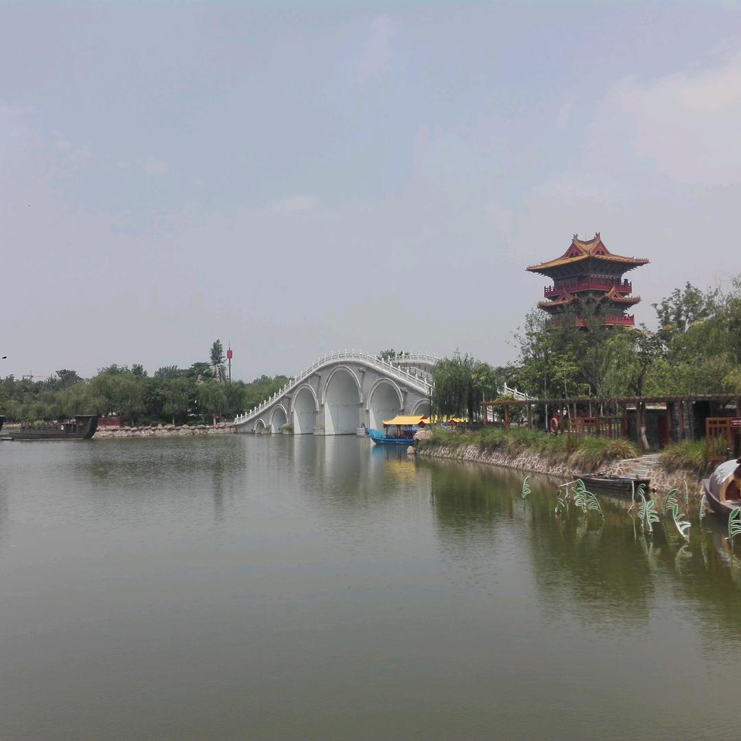 倒骑驴看风景