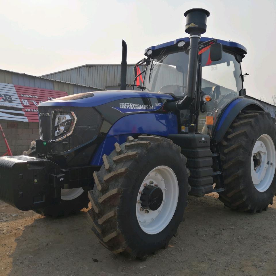 青岛强地小梦子