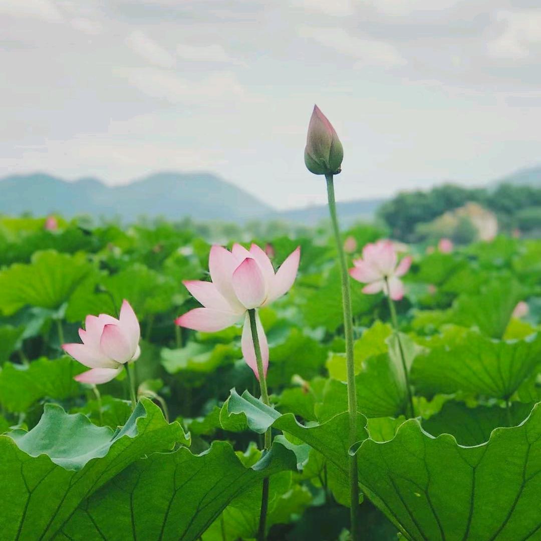 @岚🌈
