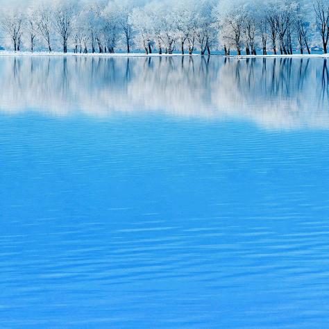 用户8023381952234李