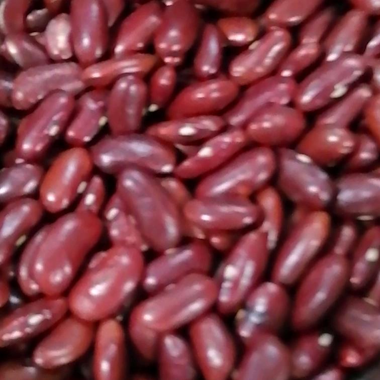 人生平安，健康快乐