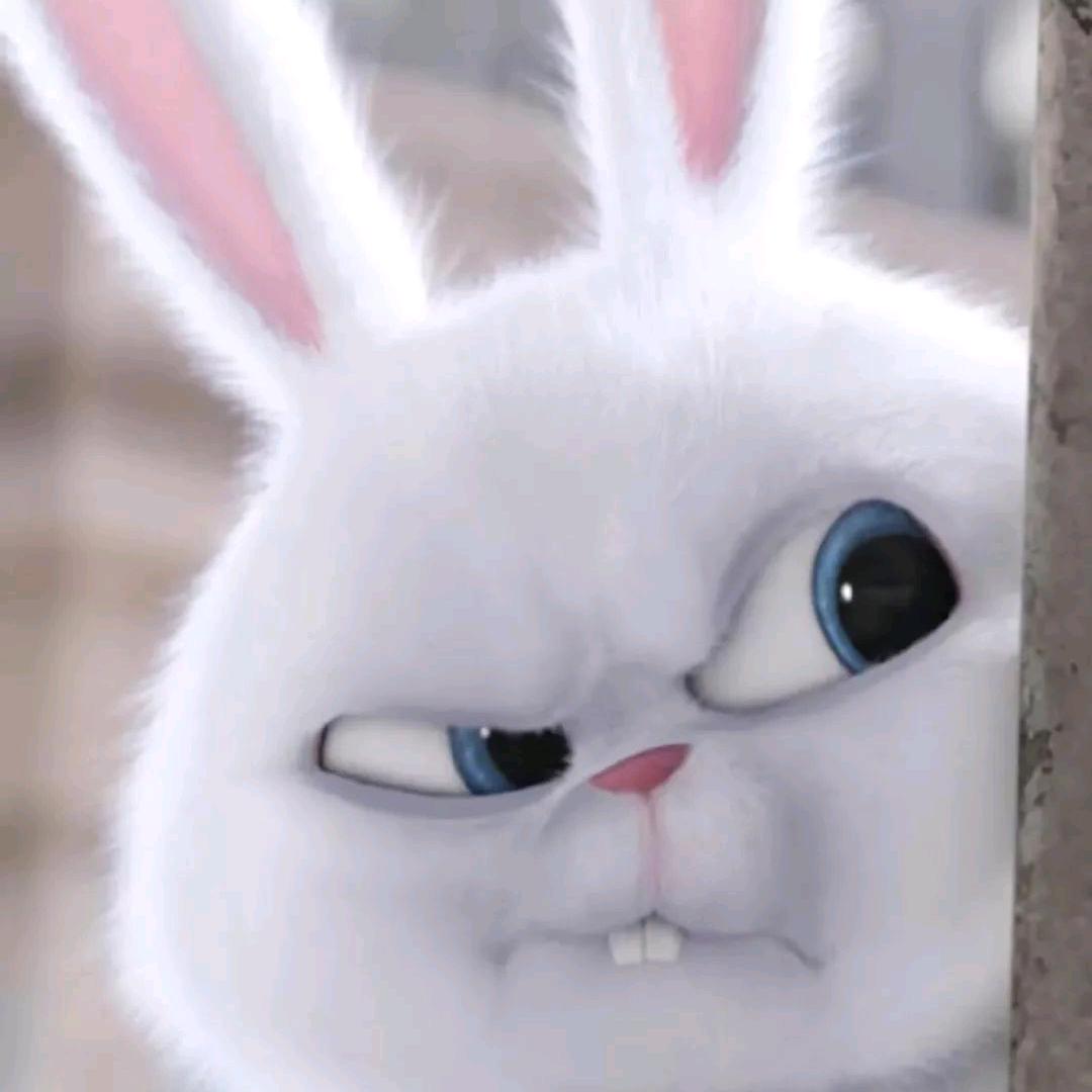 烤糊的小地瓜🌈