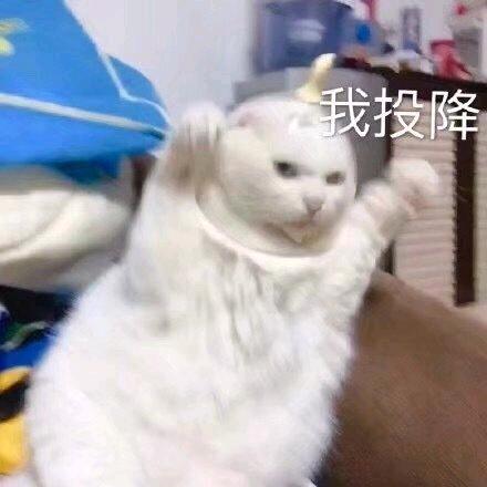 江慢点头像
