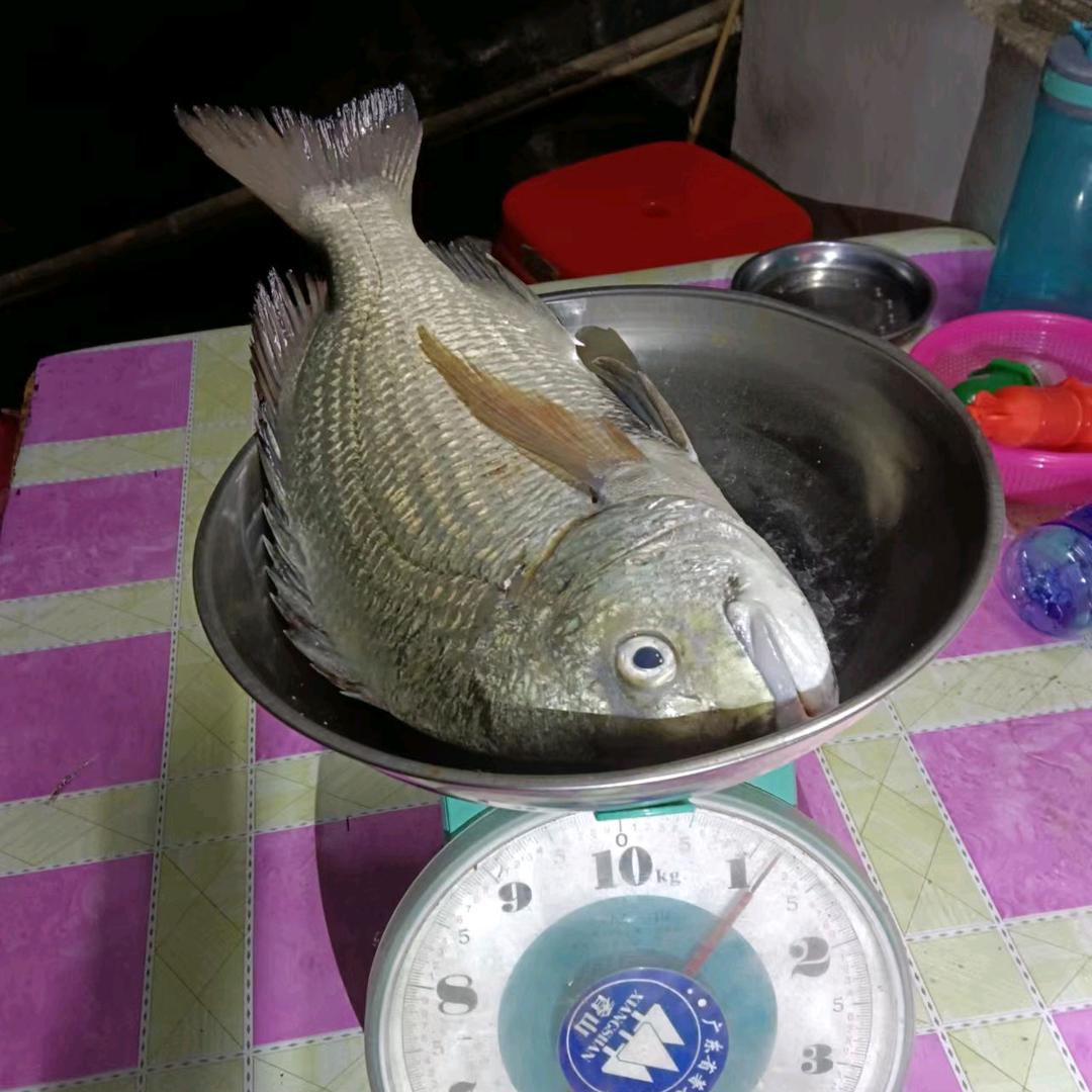 爱赶海的厨子（阿浩）
