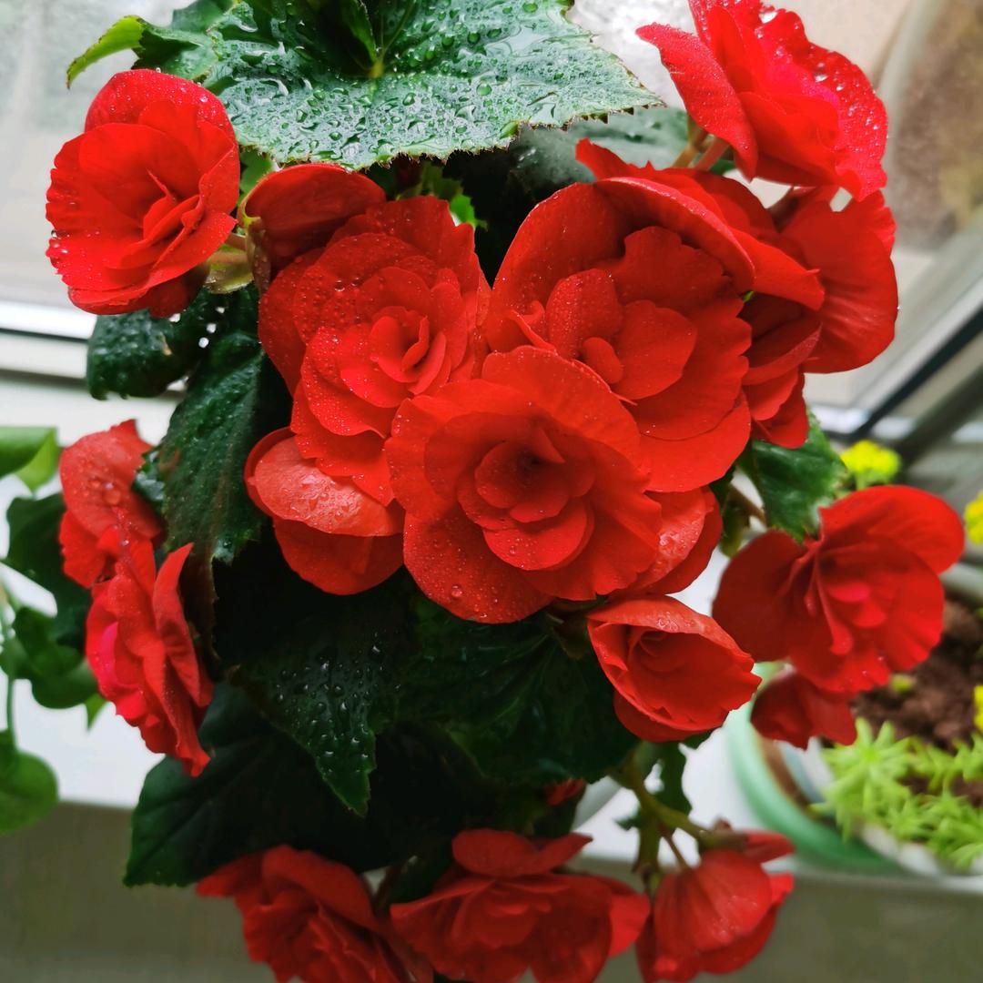 有爱就幸福🌷莉🌷