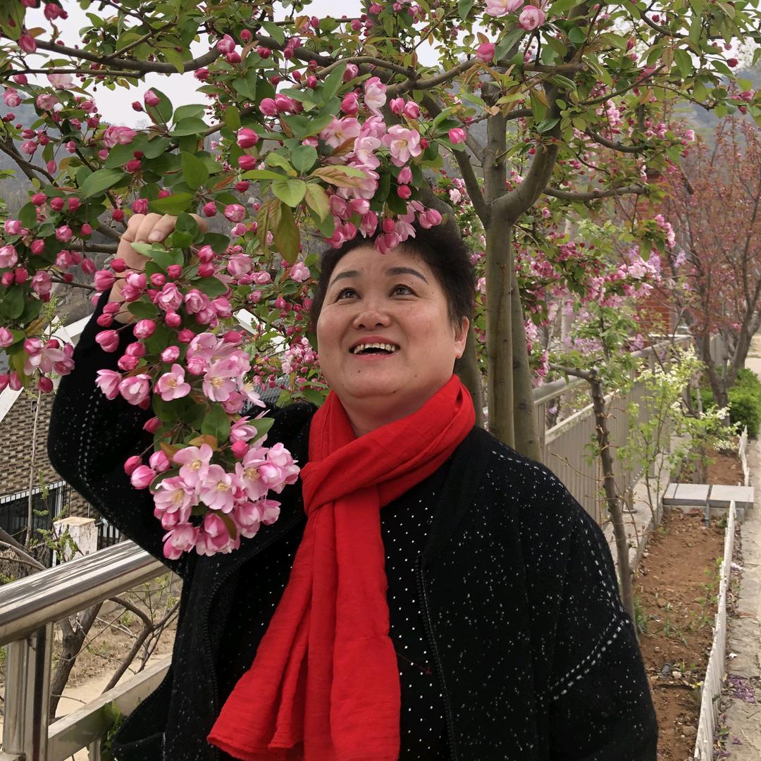 惠清姐