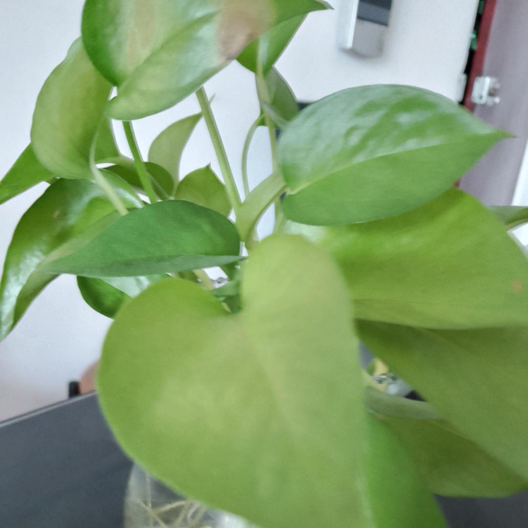 水平