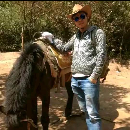 老姚最帅（带你了解更多网红故事）