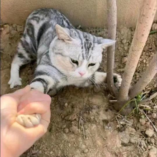 水枪装尿 滋谁谁叫