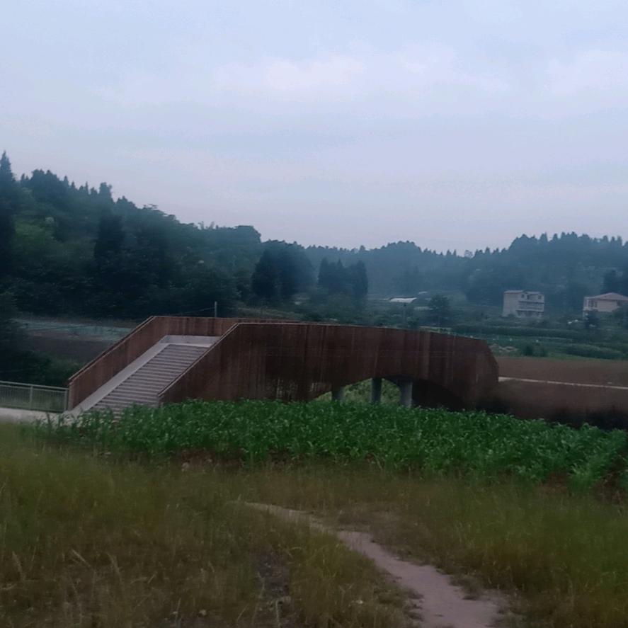竹坪