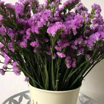 梁丽 打杂粮 加工各种杂粮 加工调料面