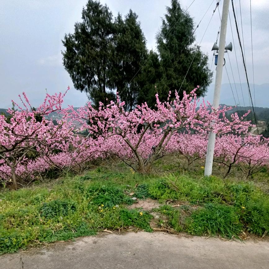 用户8797854074761