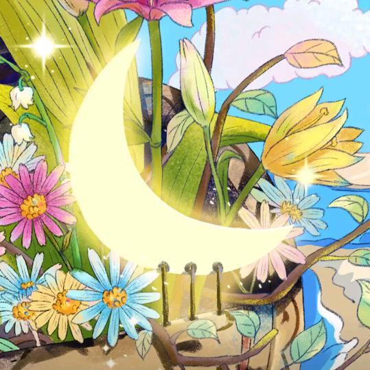 @夏天的~月亮