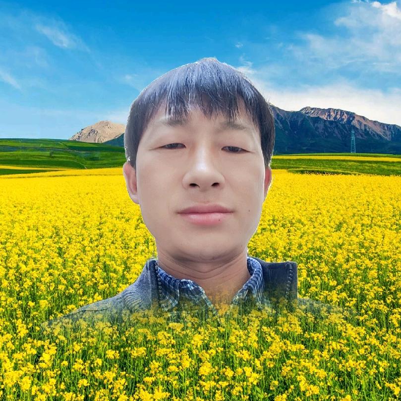 岁月静好