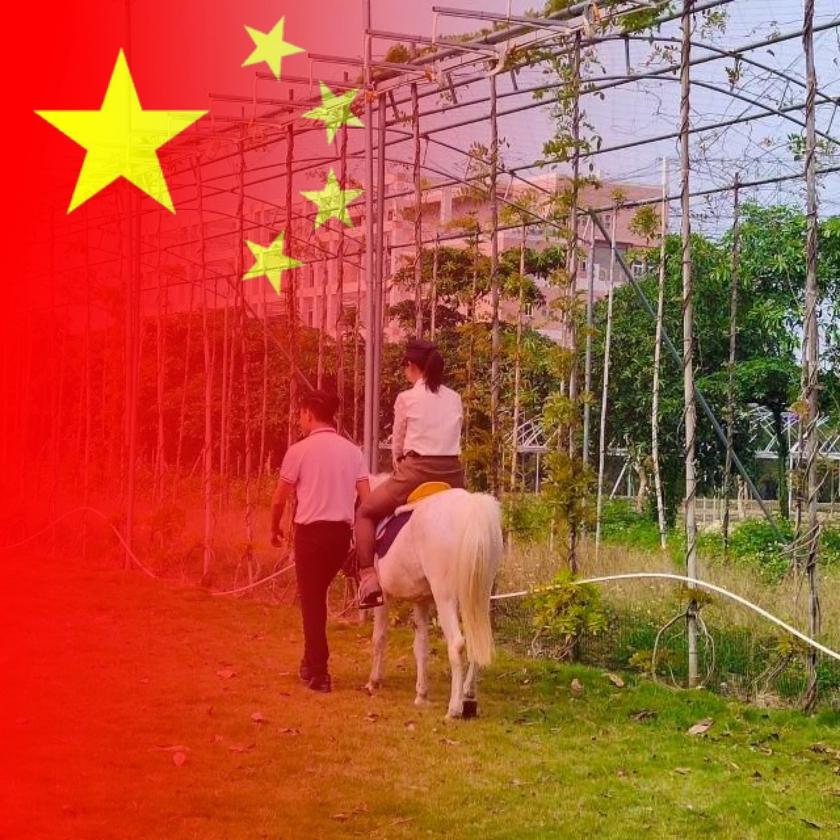 浏沁...橱窗有好物