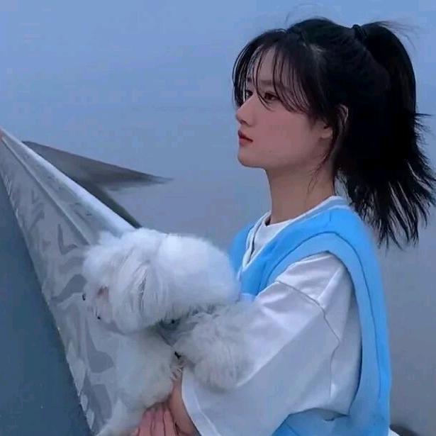 懒