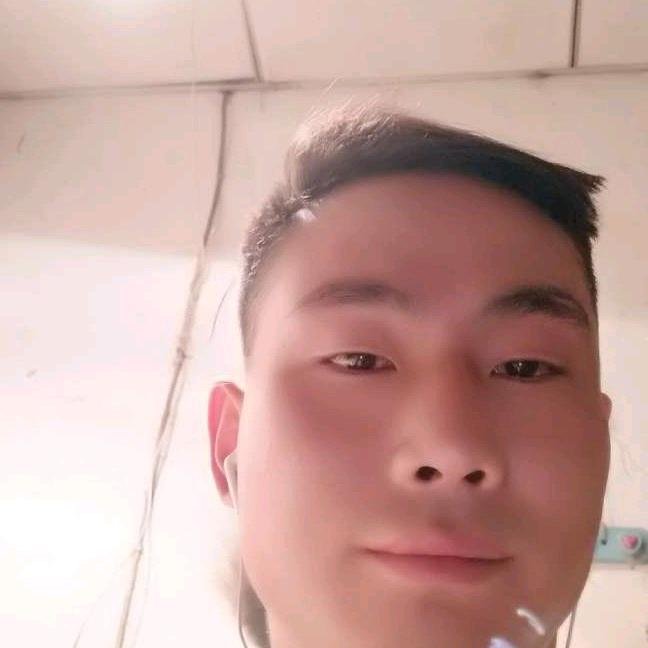 孤独的狼小伍哥