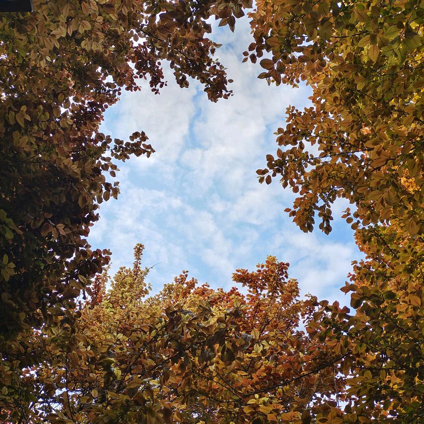 小满 ～深情爱伴奏