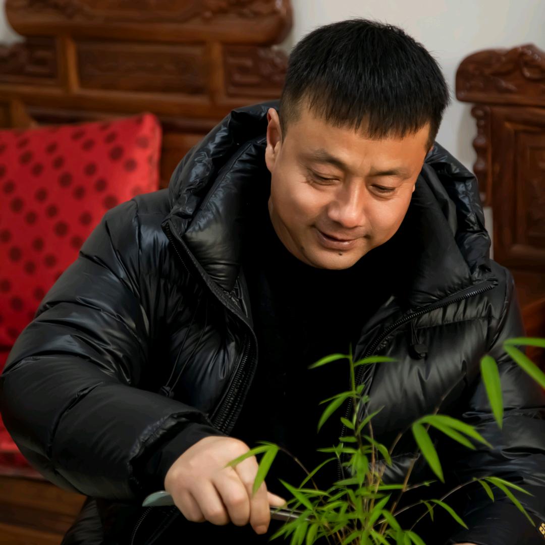 无语：闲庭园艺