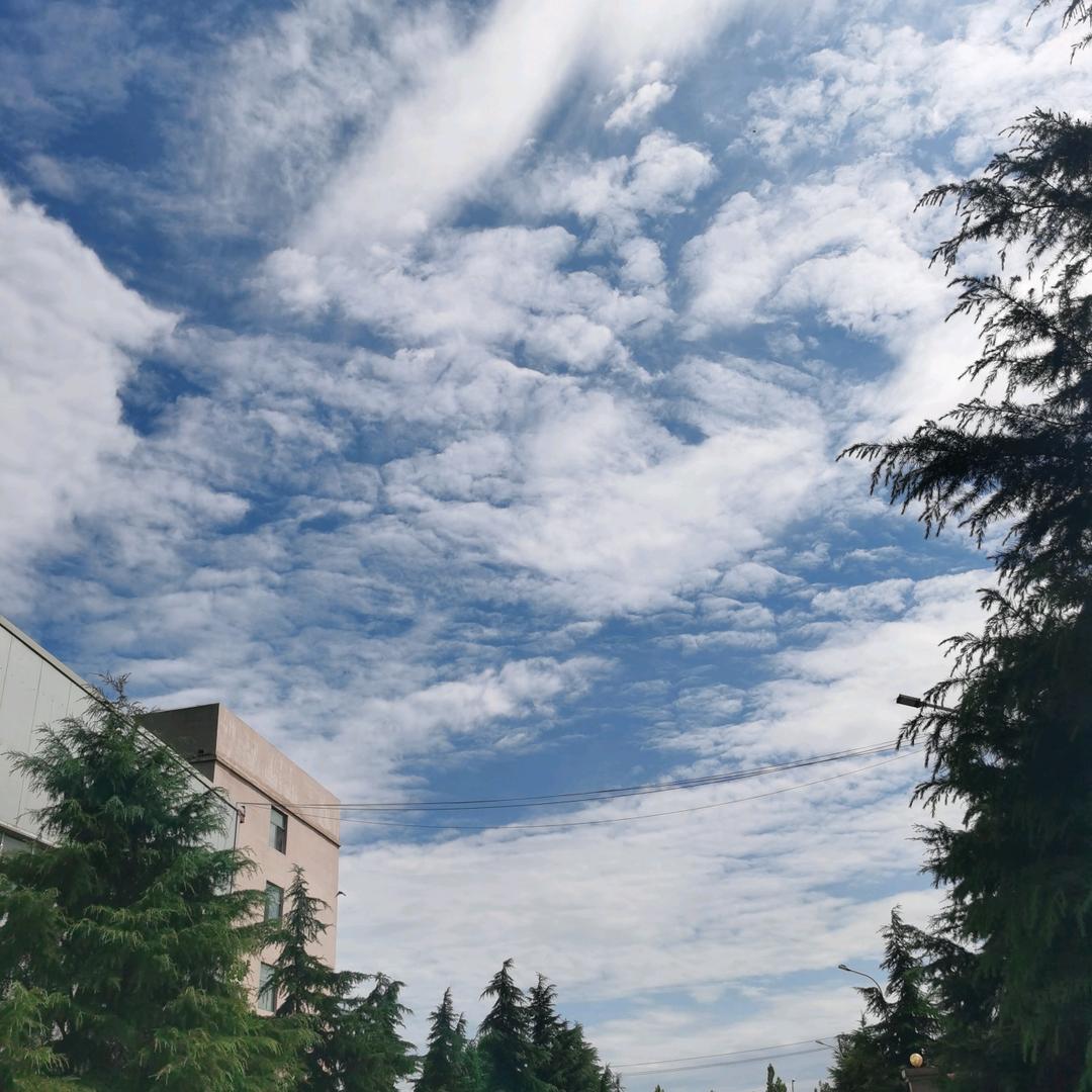 大理石专业开采施工（经验丰富）欢迎来