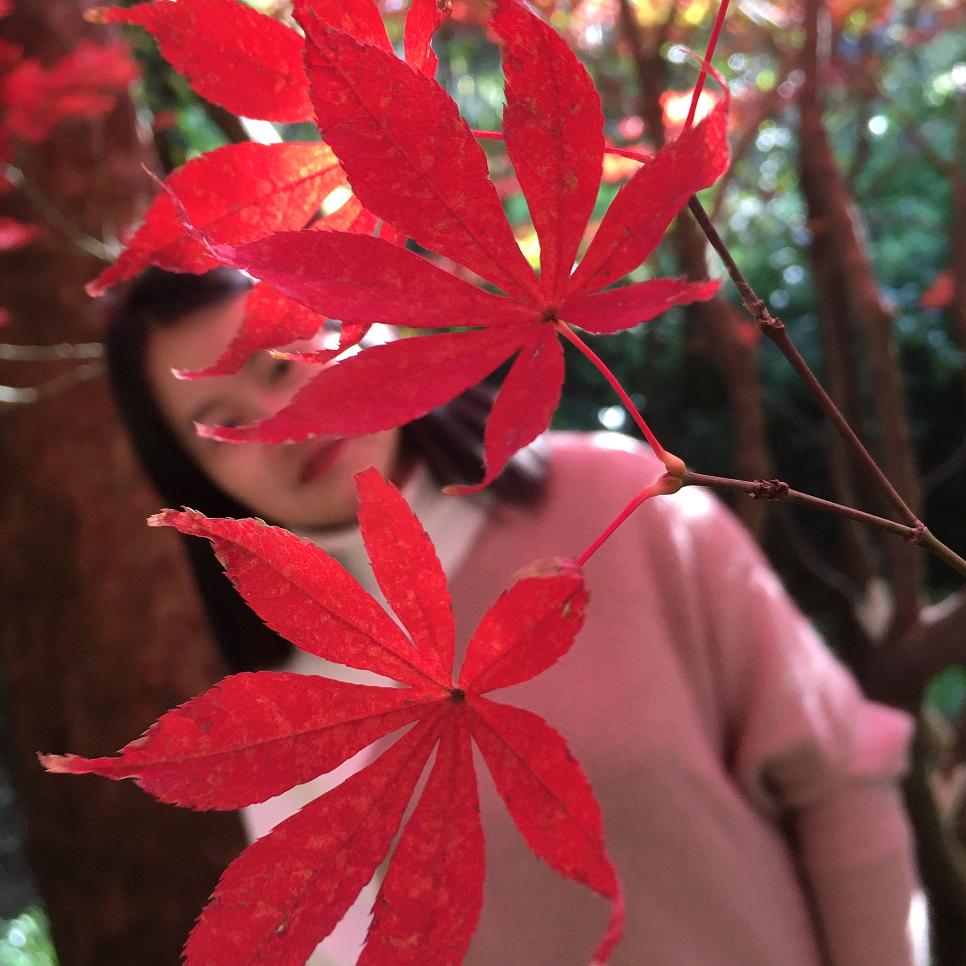 北极小熊头像