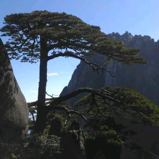 光辉岁月