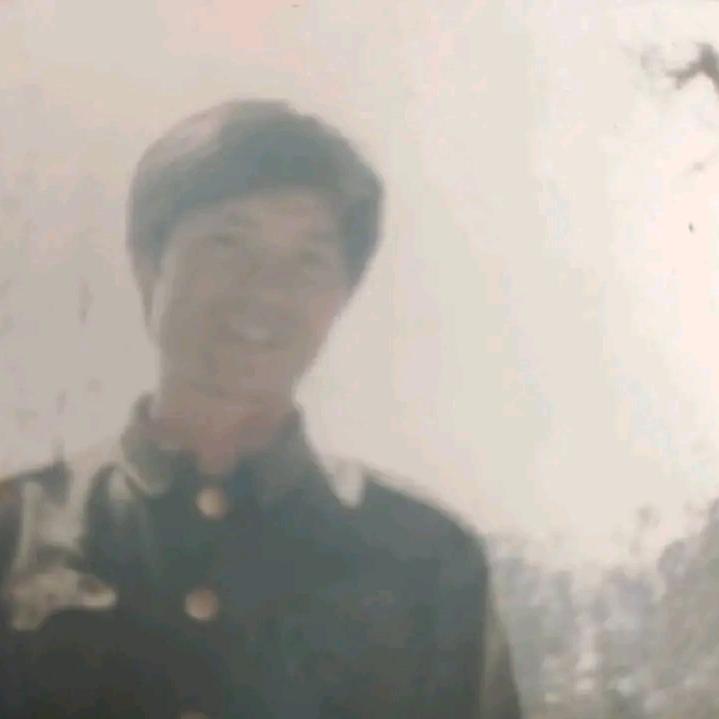 马山军