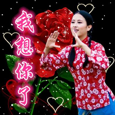 合拍动物