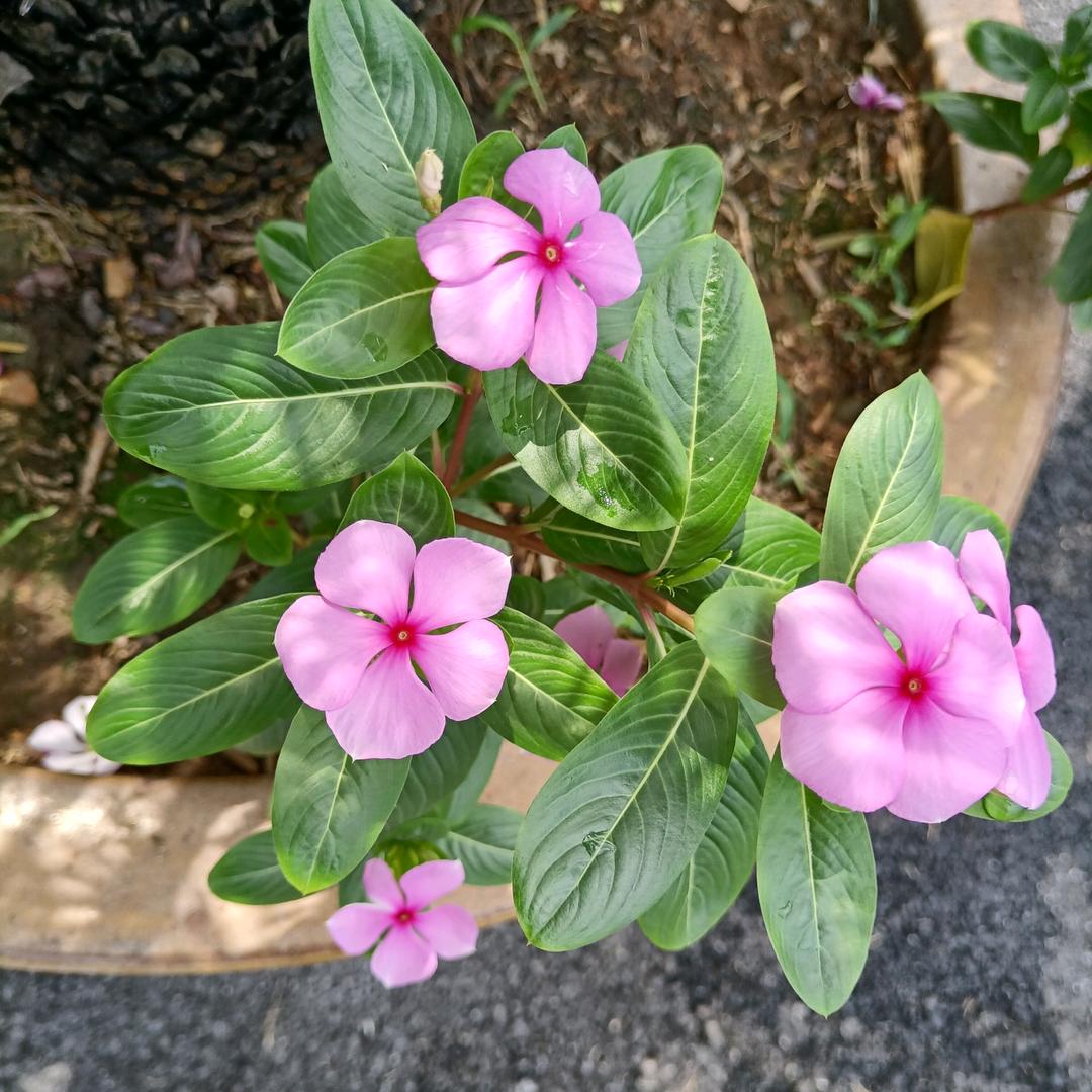 靠人不如靠自己！加油