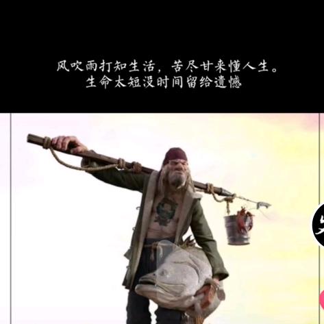 清欢不渡…白茶不予