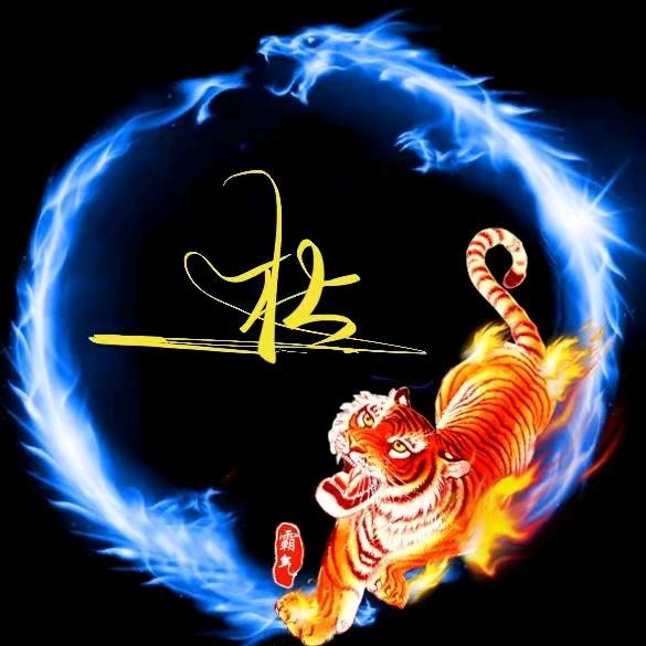 尖刀出鞘铁.杜少