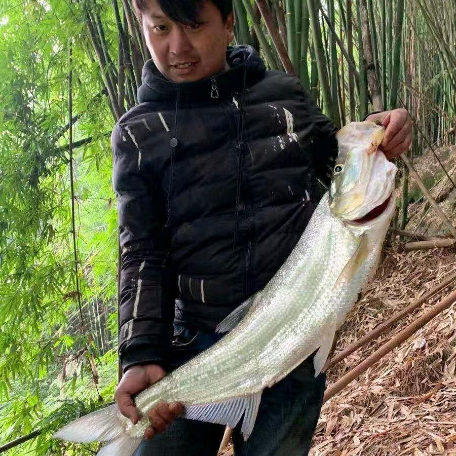 泪奔回川