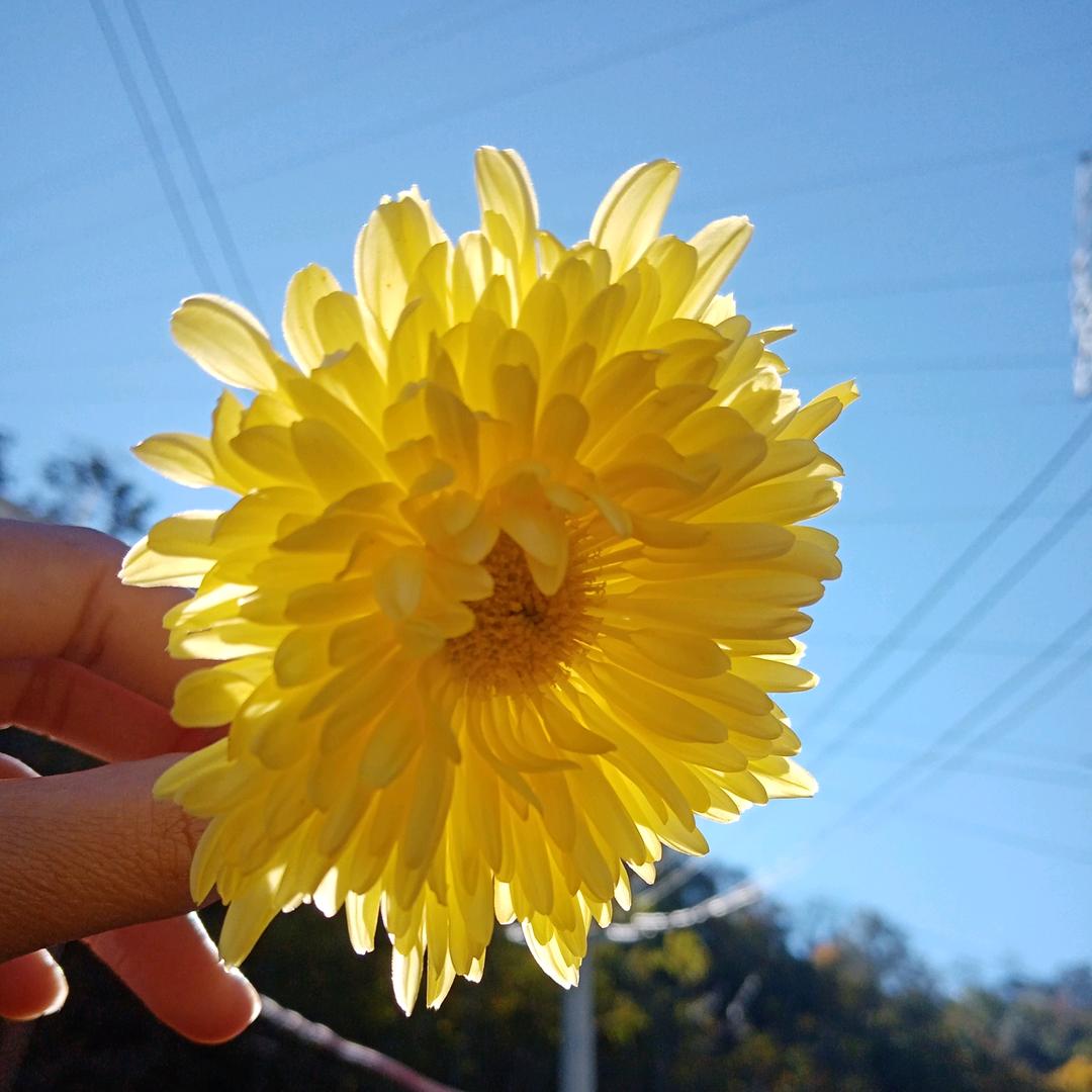 💃🏻💃🏻💃🏻💃🏻💃