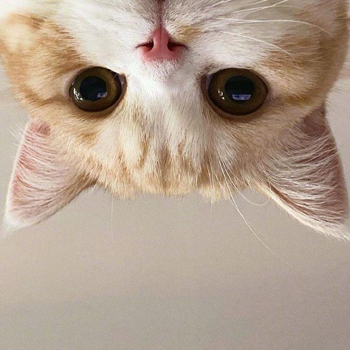 🌈ᦦ小宋᭄໌ᮨ້࿐